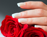 Silk Nail Extension Courses