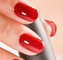 Silk Nail Course