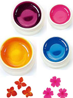 Nail Art Courses