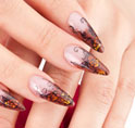 VRQ/NVQ Nail Courses